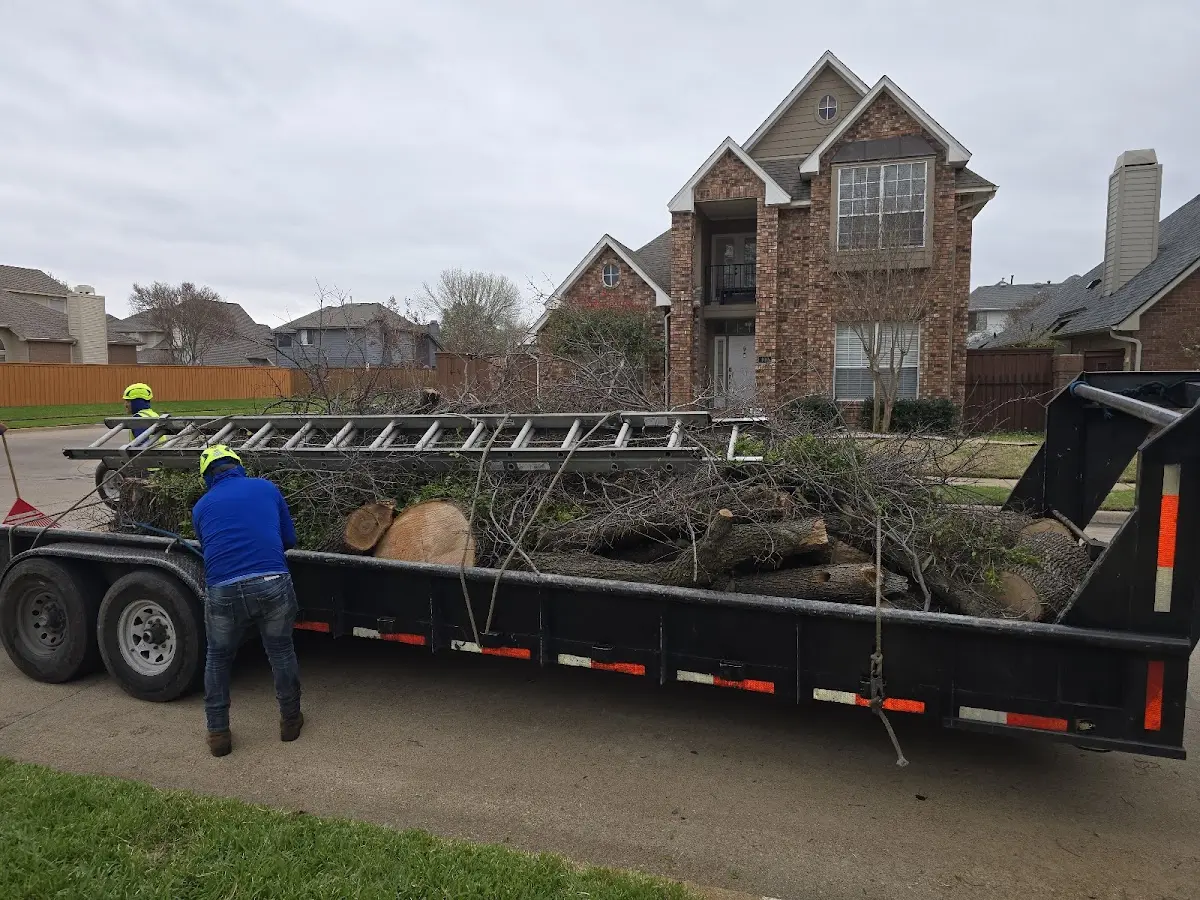 Expert Lot Clearing with proper safety equipment in Hillview